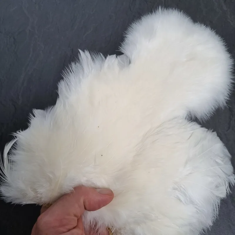 Whiting Coq de Leon Hen Soft Hackle with Chickabou in Pure White-2